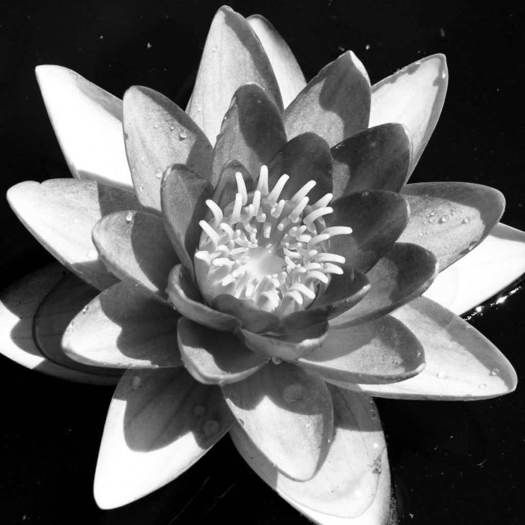 Writing About Code: Getting Started