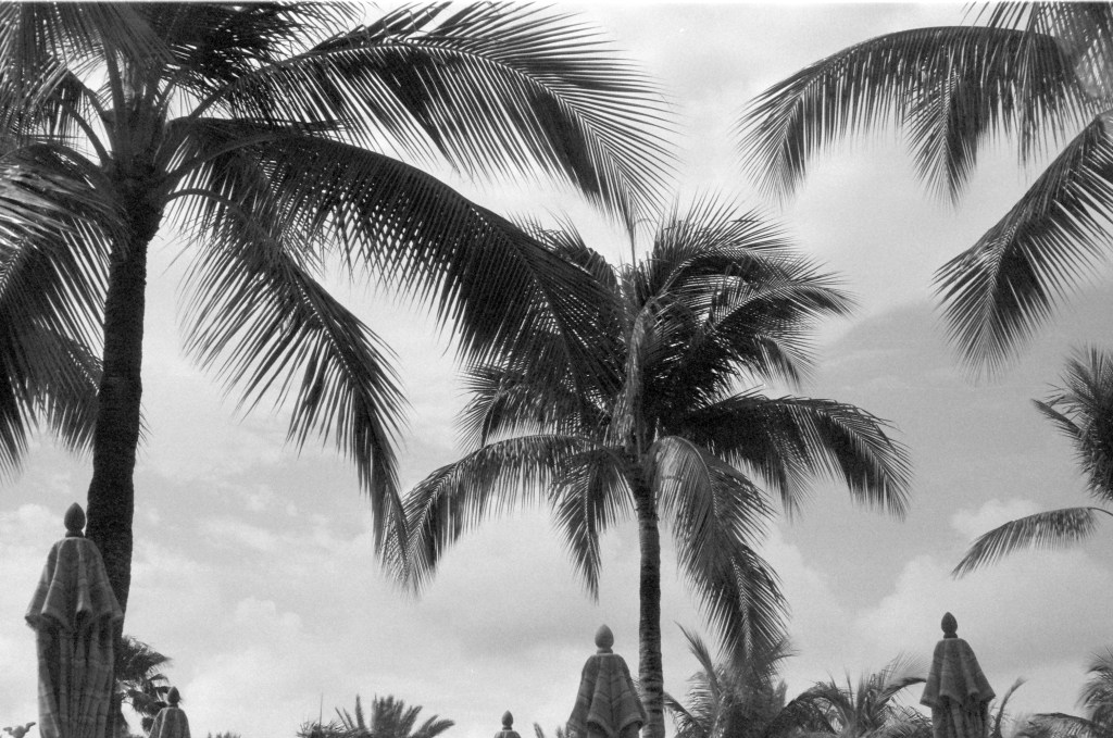 Tracking Covid-19 with Jupyter Notebooks